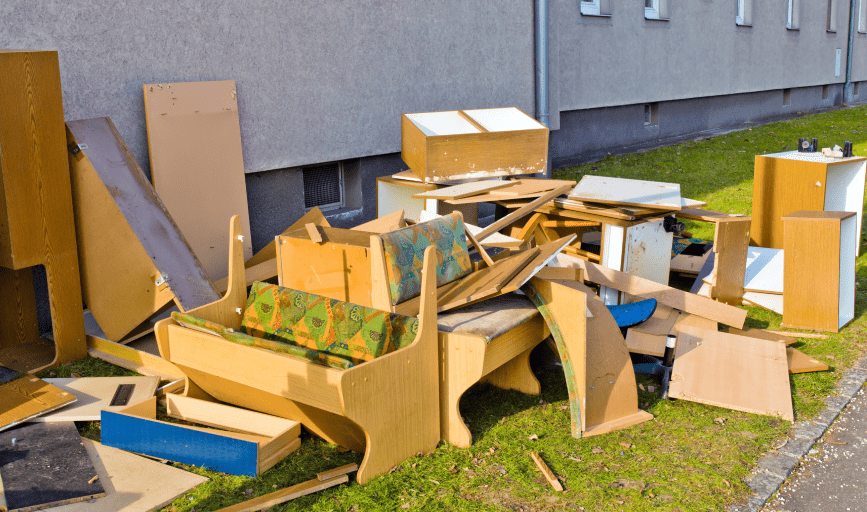 HOUSE CLEANUP